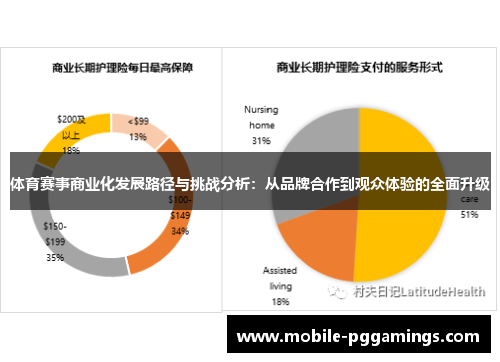 体育赛事商业化发展路径与挑战分析：从品牌合作到观众体验的全面升级