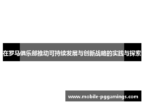 在罗马俱乐部推动可持续发展与创新战略的实践与探索