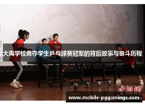 大禹学校勇夺学生乒乓球赛冠军的背后故事与奋斗历程