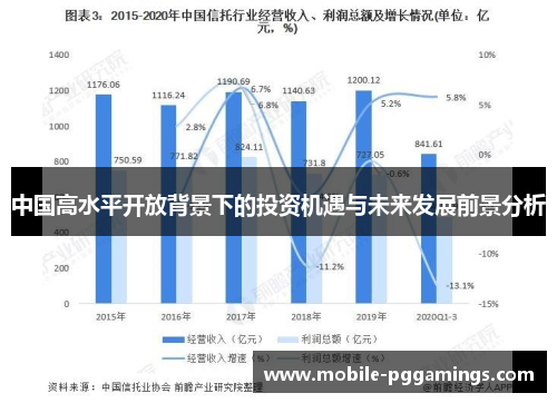 中国高水平开放背景下的投资机遇与未来发展前景分析