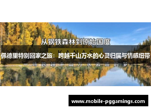 佩德里特别回家之旅：跨越千山万水的心灵归属与情感纽带