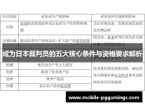 成为日本裁判员的五大核心条件与资格要求解析