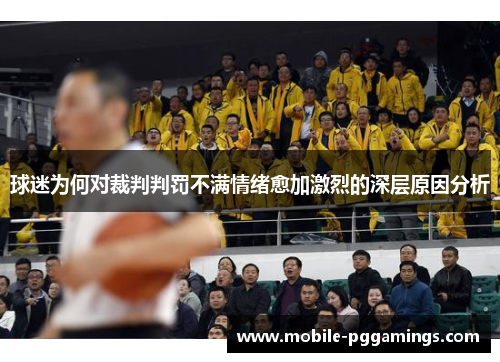 球迷为何对裁判判罚不满情绪愈加激烈的深层原因分析