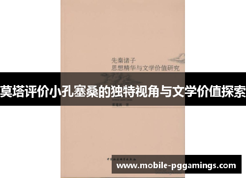 莫塔评价小孔塞桑的独特视角与文学价值探索