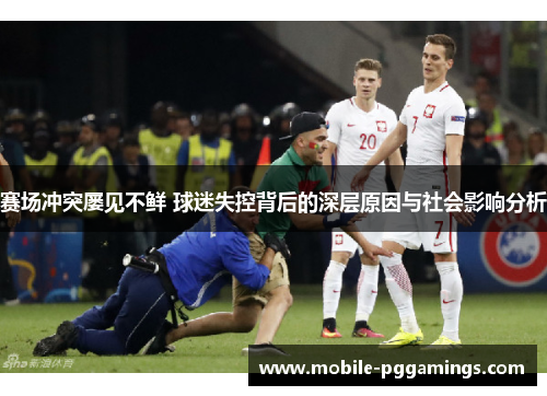 赛场冲突屡见不鲜 球迷失控背后的深层原因与社会影响分析