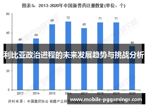 利比亚政治进程的未来发展趋势与挑战分析