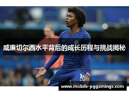 威廉切尔西水平背后的成长历程与挑战揭秘