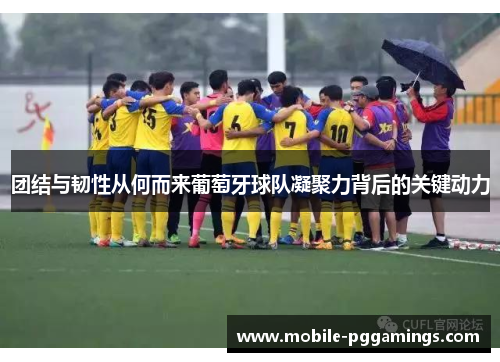 团结与韧性从何而来葡萄牙球队凝聚力背后的关键动力
