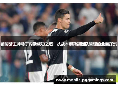 葡萄牙主帅马丁内斯成功之道:从战术创新到团队管理的全面探索 葡萄牙主帅马丁内斯成功之道:从战术创新到团队管理的全面探索