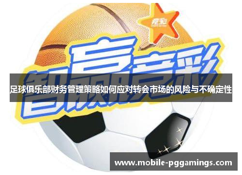 足球俱乐部财务管理策略如何应对转会市场的风险与不确定性 足球俱乐部财务管理策略如何应对转会市场的风险与不确定性