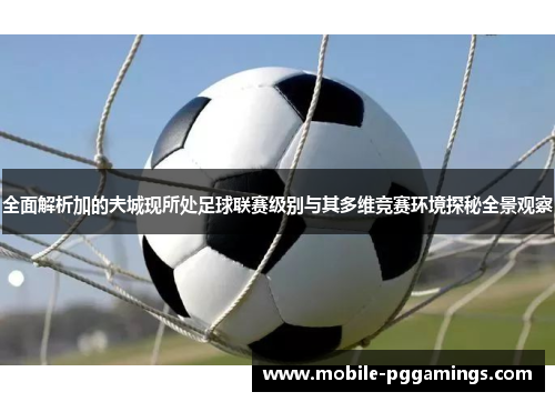 全面解析加的夫城现所处足球联赛级别与其多维竞赛环境探秘全景观察