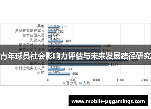 青年球员社会影响力评估与未来发展路径研究 青年球员社会影响力评估与未来发展路径研究