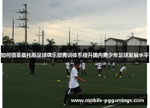 如何借鉴桑托斯足球俱乐部青训体系提升国内青少年足球发展水平