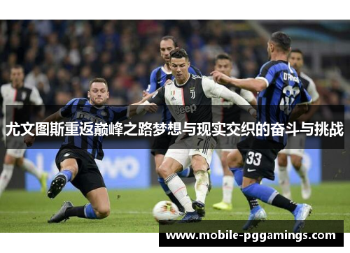 尤文图斯重返巅峰之路梦想与现实交织的奋斗与挑战