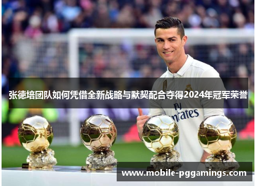 张德培团队如何凭借全新战略与默契配合夺得2024年冠军荣誉