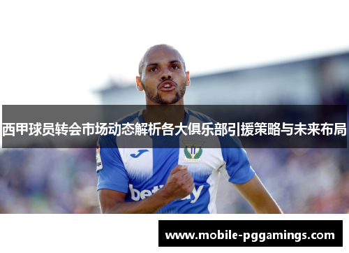 西甲球员转会市场动态解析各大俱乐部引援策略与未来布局 西甲球员转会市场动态解析各大俱乐部引援策略与未来布局