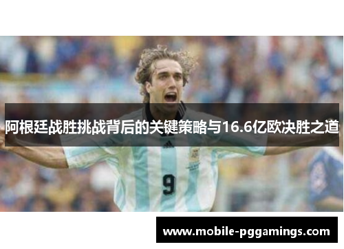 阿根廷战胜挑战背后的关键策略与16.6亿欧决胜之道